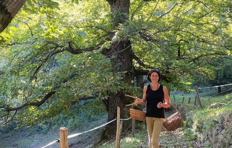 Les Délices d'Artémis